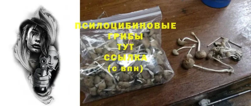 omg рабочий сайт  Алагир  Псилоцибиновые грибы Psilocybine cubensis 