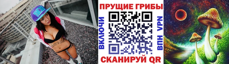 Псилоцибиновые грибы Cubensis Алагир